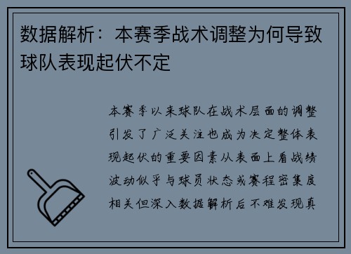 数据解析:本赛季战术调整为何导致球队表现起伏不定